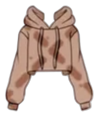 Brown cropped hoodie