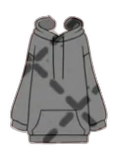 Gray hoodie