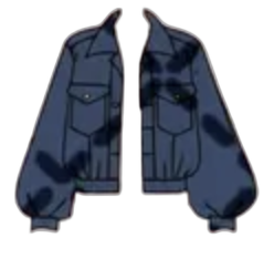 Blue jacket