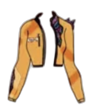 Orange jacket