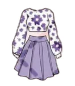 Flower top and skirt