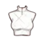 White cropped top