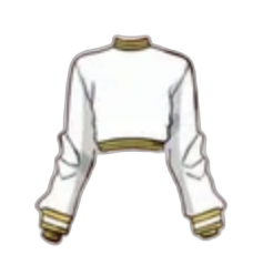 White cropped top with gold trim
