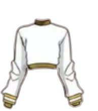 White and gold cropped top