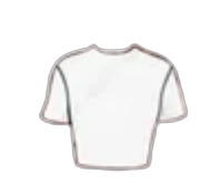 White cropped t-shirt